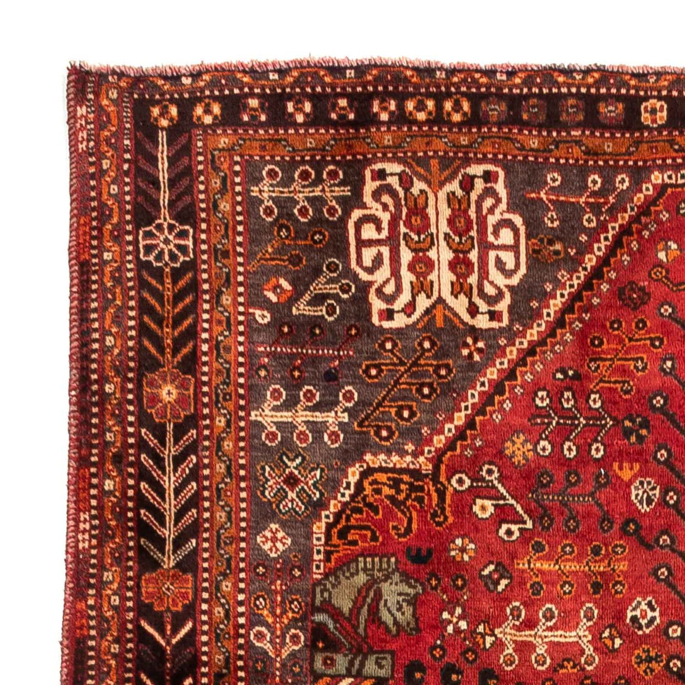 Shiraz Teppich 253x160cm - Perserteppich