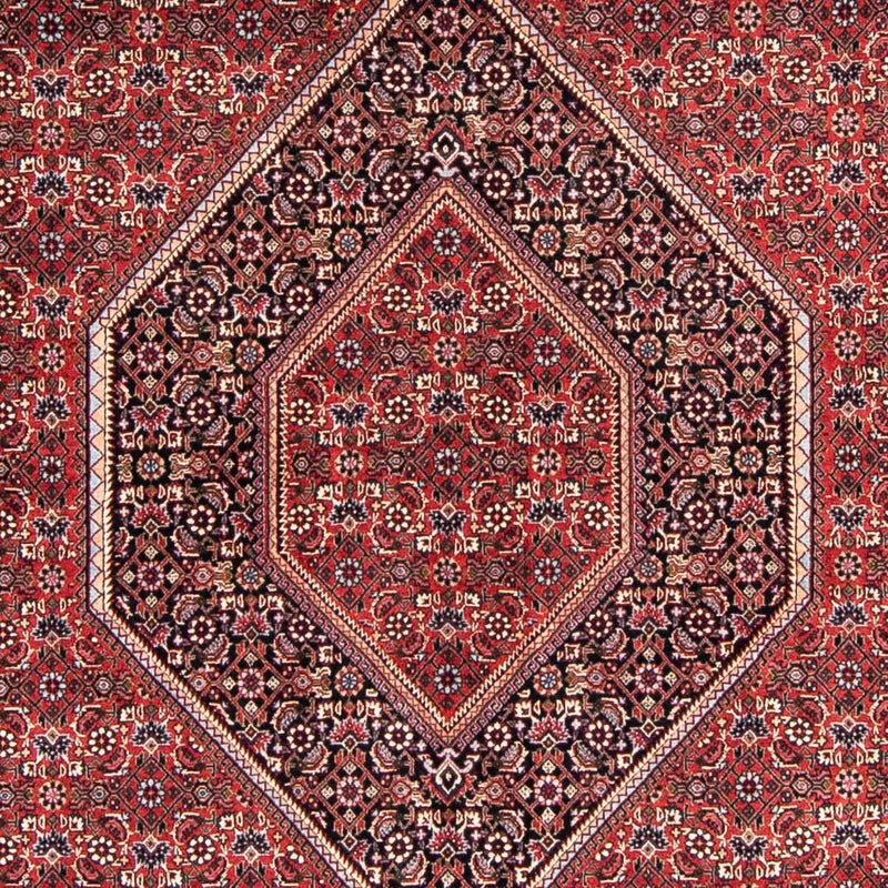 Perserteppich - Bidjar 238 x 169 cm