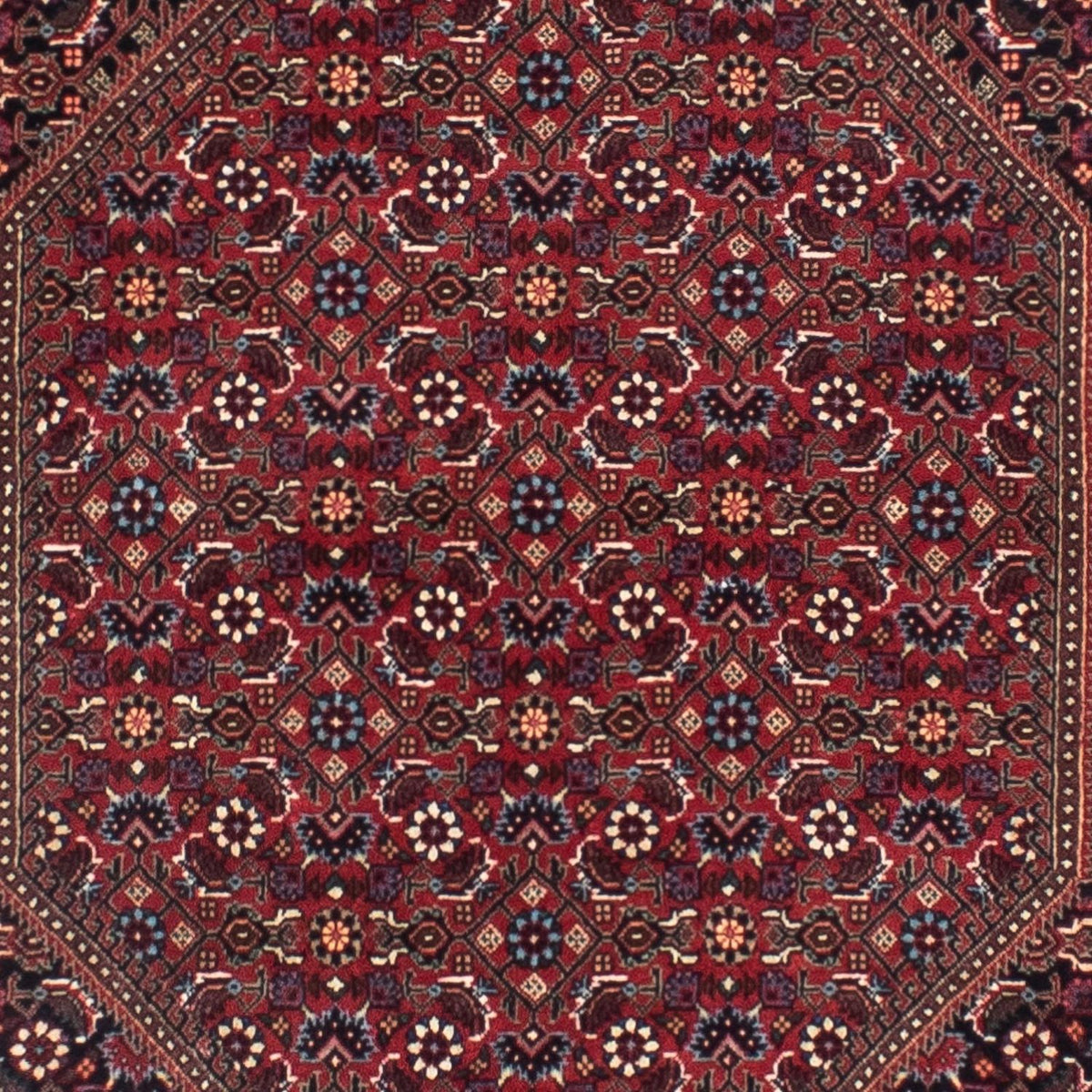 Perserteppich - Bidjar - Royal 306 x 85 cm