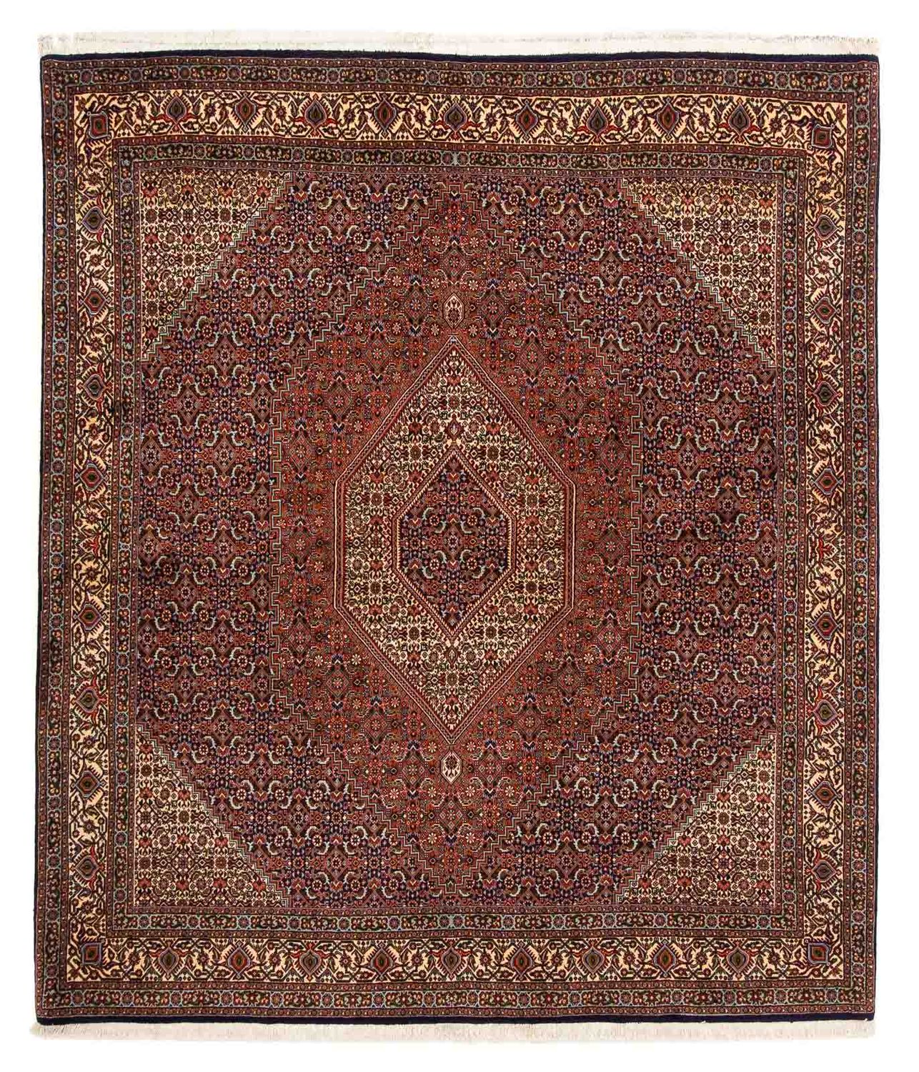 Perserteppich - Bidjar 222 x 203 cm