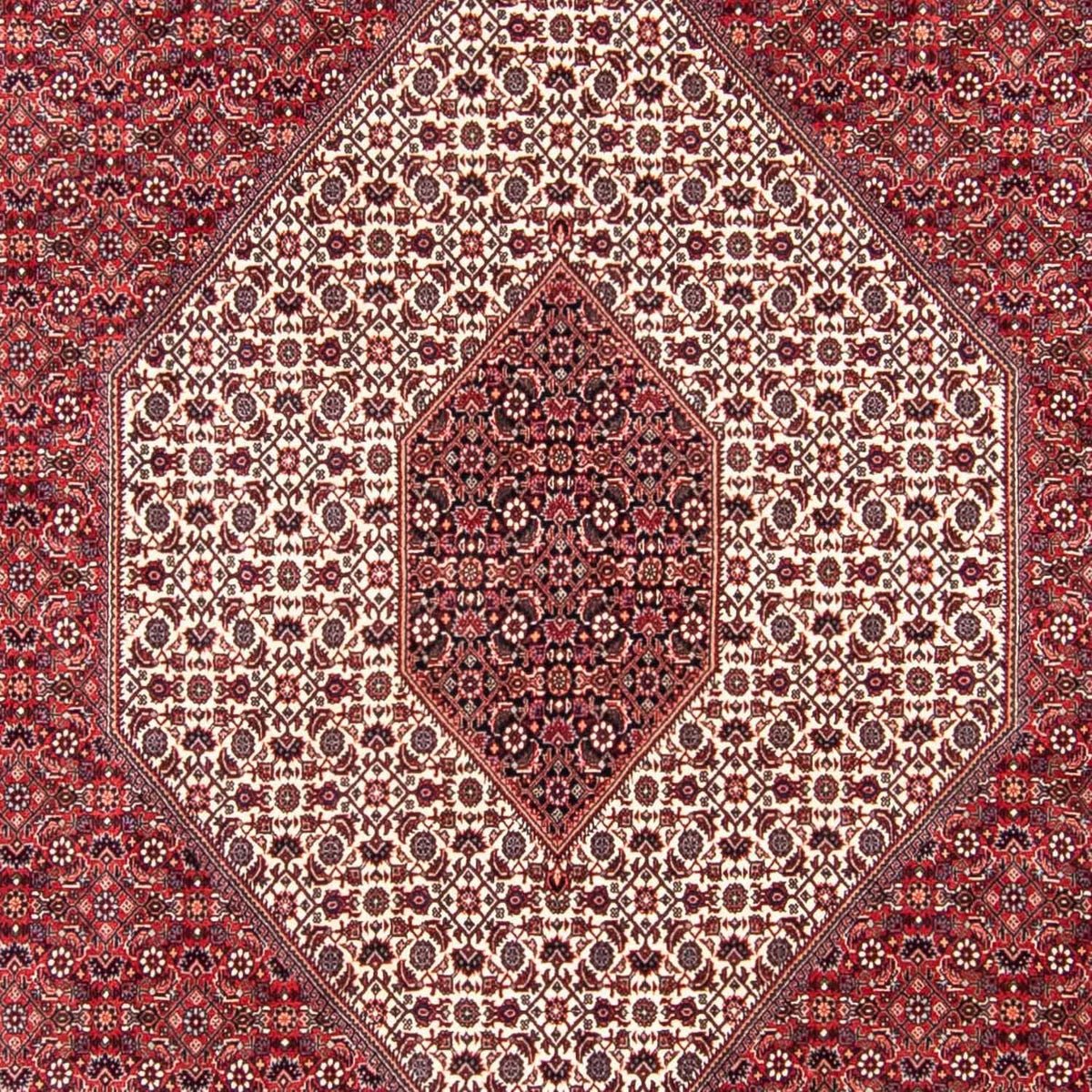 Perserteppich - Bidjar 314 x 253 cm