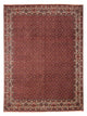 Perserteppich - Bidjar 308 x 254 cm