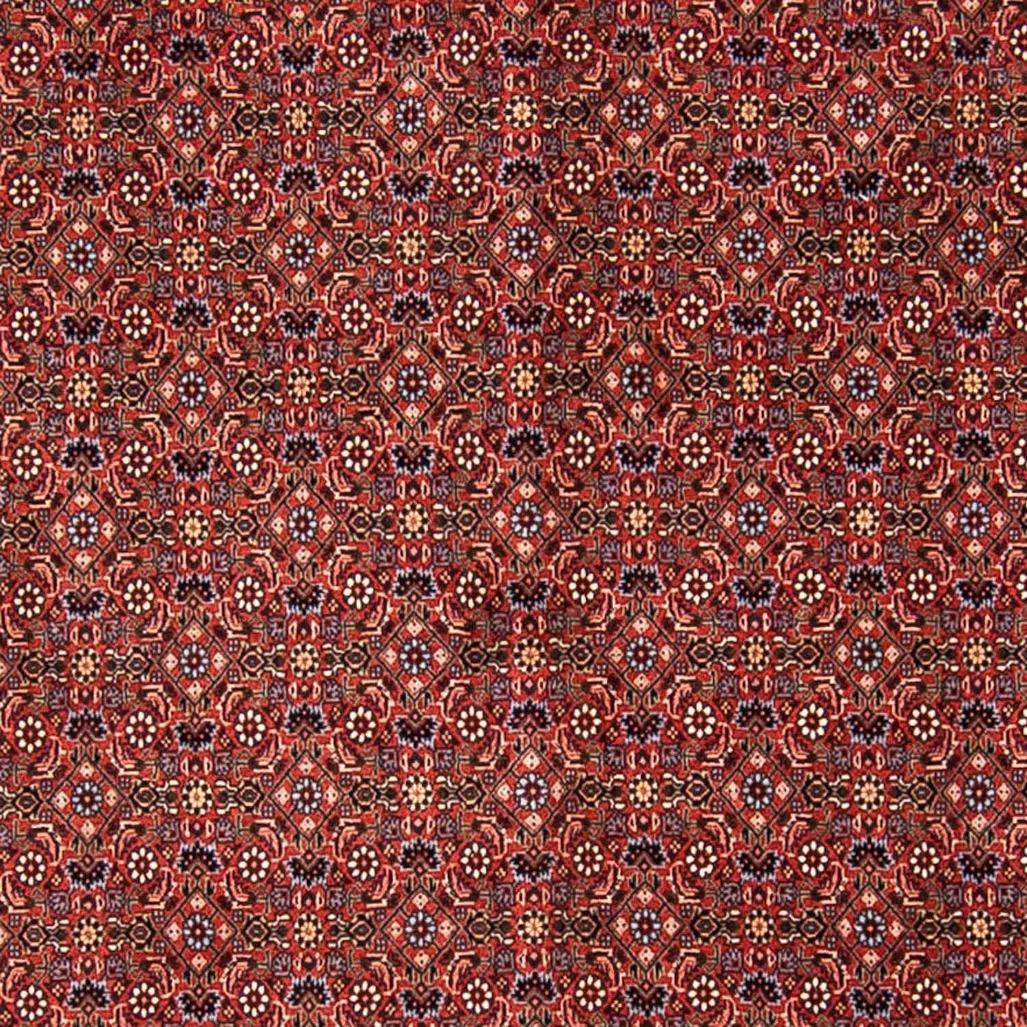 Perserteppich - Bidjar 308 x 254 cm