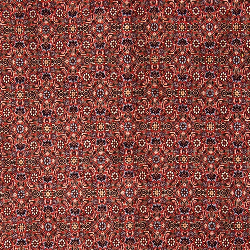 Perserteppich - Bidjar 308 x 254 cm
