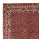 Perserteppich - Bidjar 308 x 254 cm