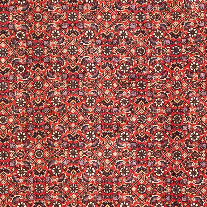 Perserteppich - Bidjar - Royal 183 x 114 cm