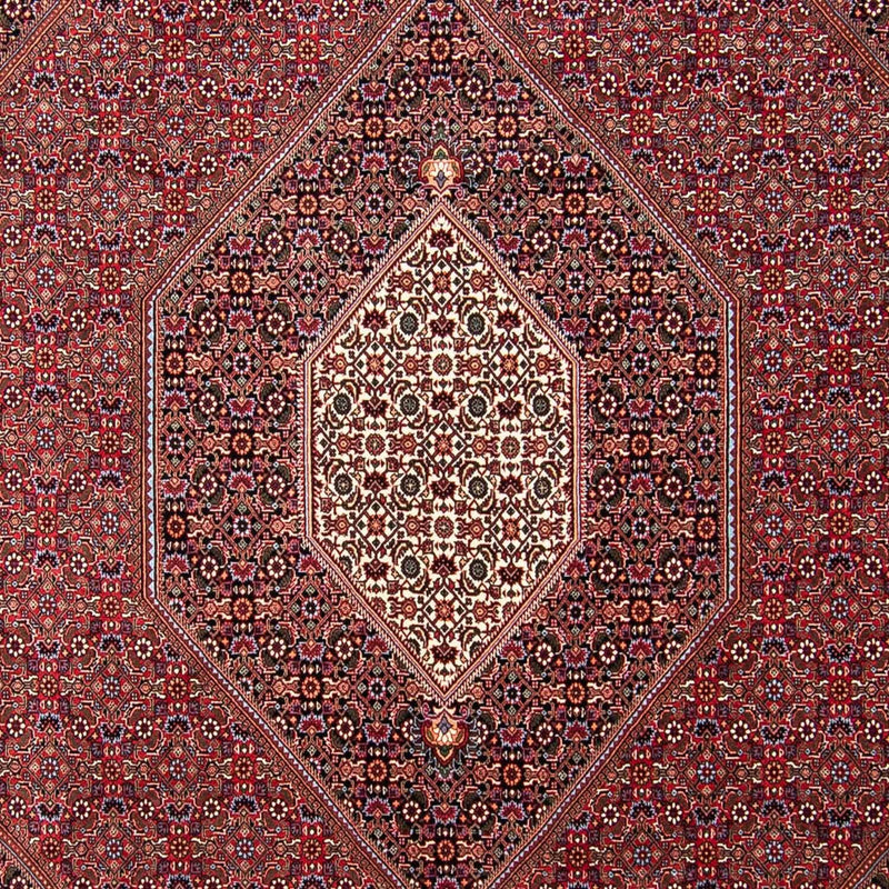 Perserteppich - Bidjar 298 x 258 cm