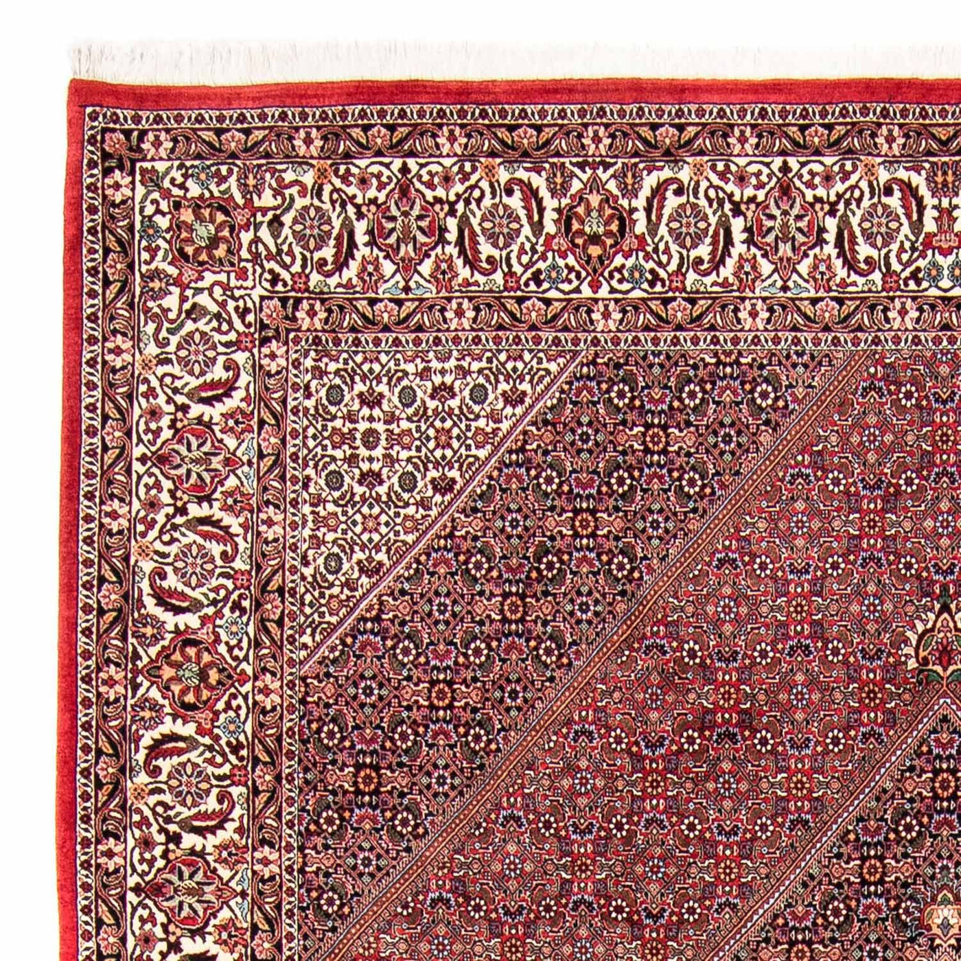 Bidjar Teppich 298x258cm - Perserteppich