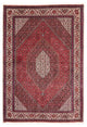 Perserteppich - Bidjar 245 x 170 cm Teppich Wohnzimmer