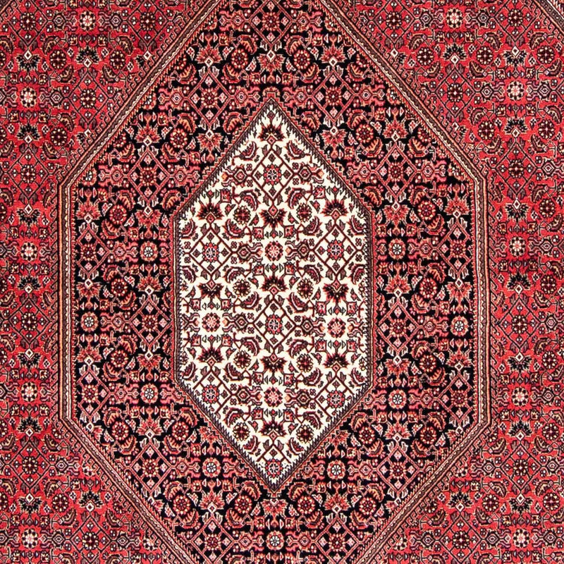 Perserteppich - Bidjar 245 x 170 cm Teppich Wohnzimmer