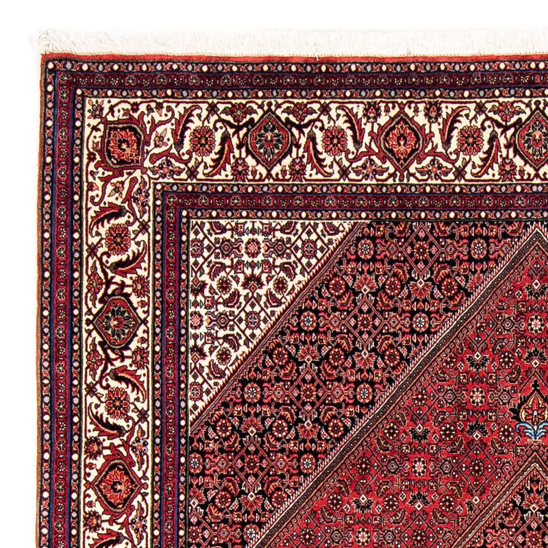 Perserteppich - Bidjar 245 x 170 cm Teppich Wohnzimmer