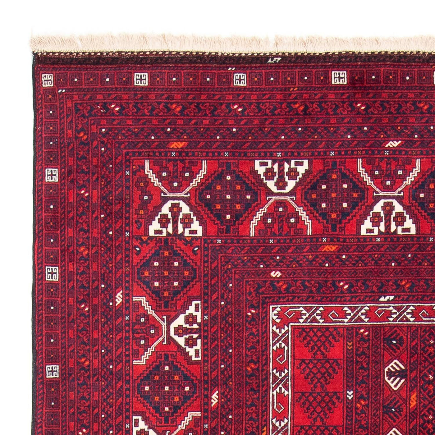 Turkaman Teppich 249x160cm - Orientteppich