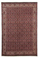 Perserteppich - Bidjar 247 x 168 cm