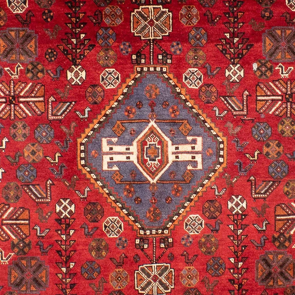 Perserteppich - Nomadic 312 x 216 cm