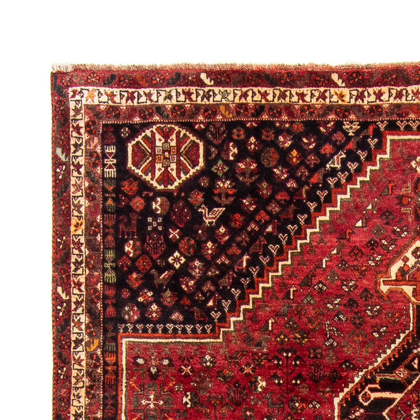 Shiraz Teppich 325x230cm - Perserteppich