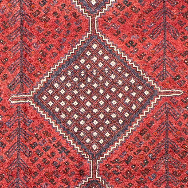 Perserteppich - Nomadic 310 x 215 cm