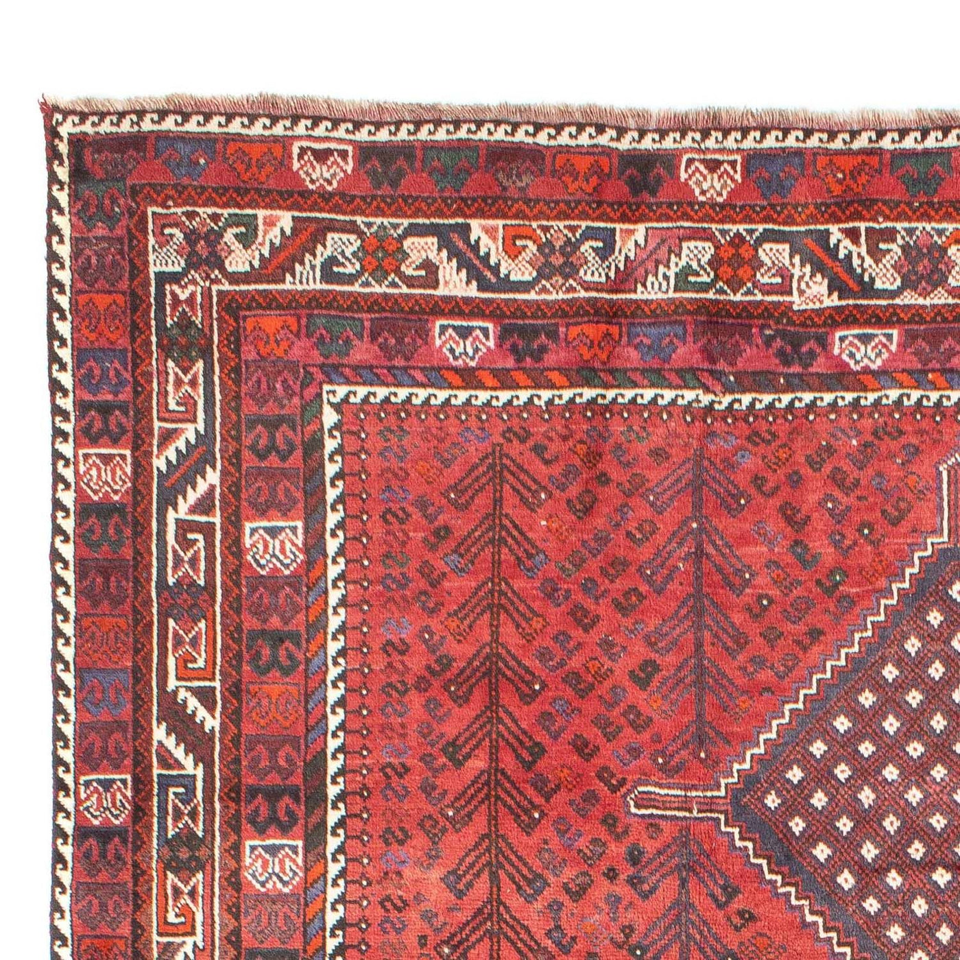 Shiraz Teppich 310x215cm - Perserteppich