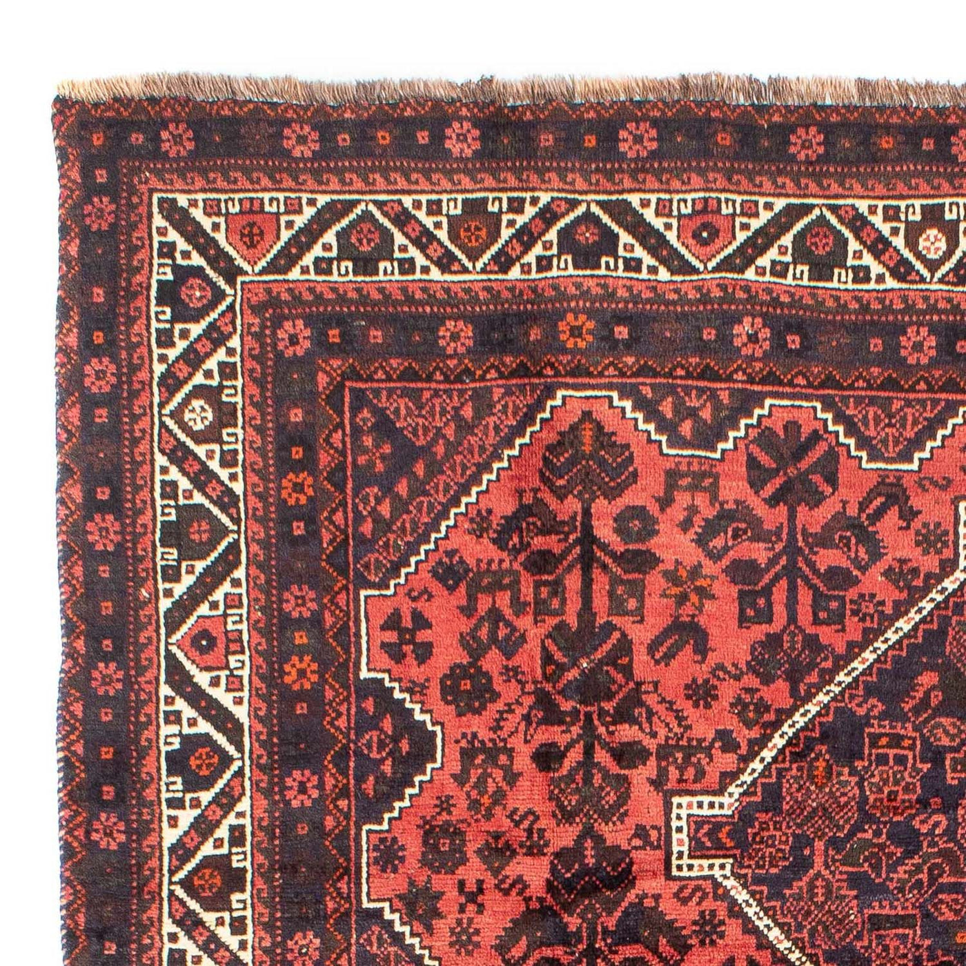 Shiraz Teppich 300x207cm - Perserteppich