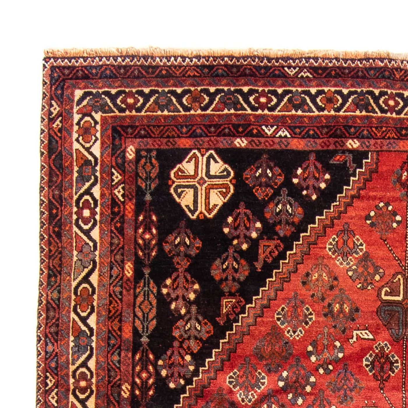 Shiraz Teppich 323x235cm - Perserteppich
