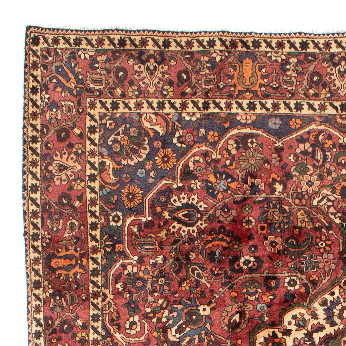 Perserteppich - Nomadic 305 x 211 cm