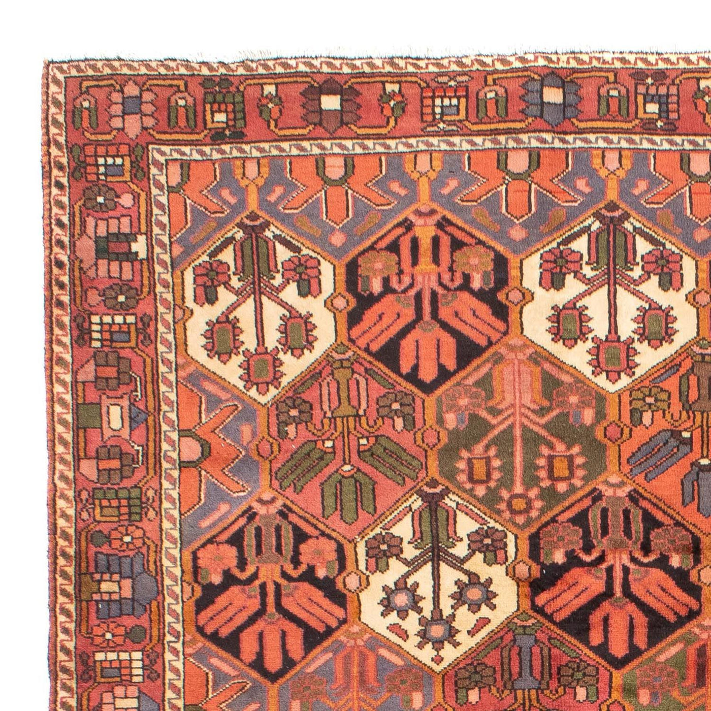 Bachtiar Teppich 297x205cm - Perserteppich