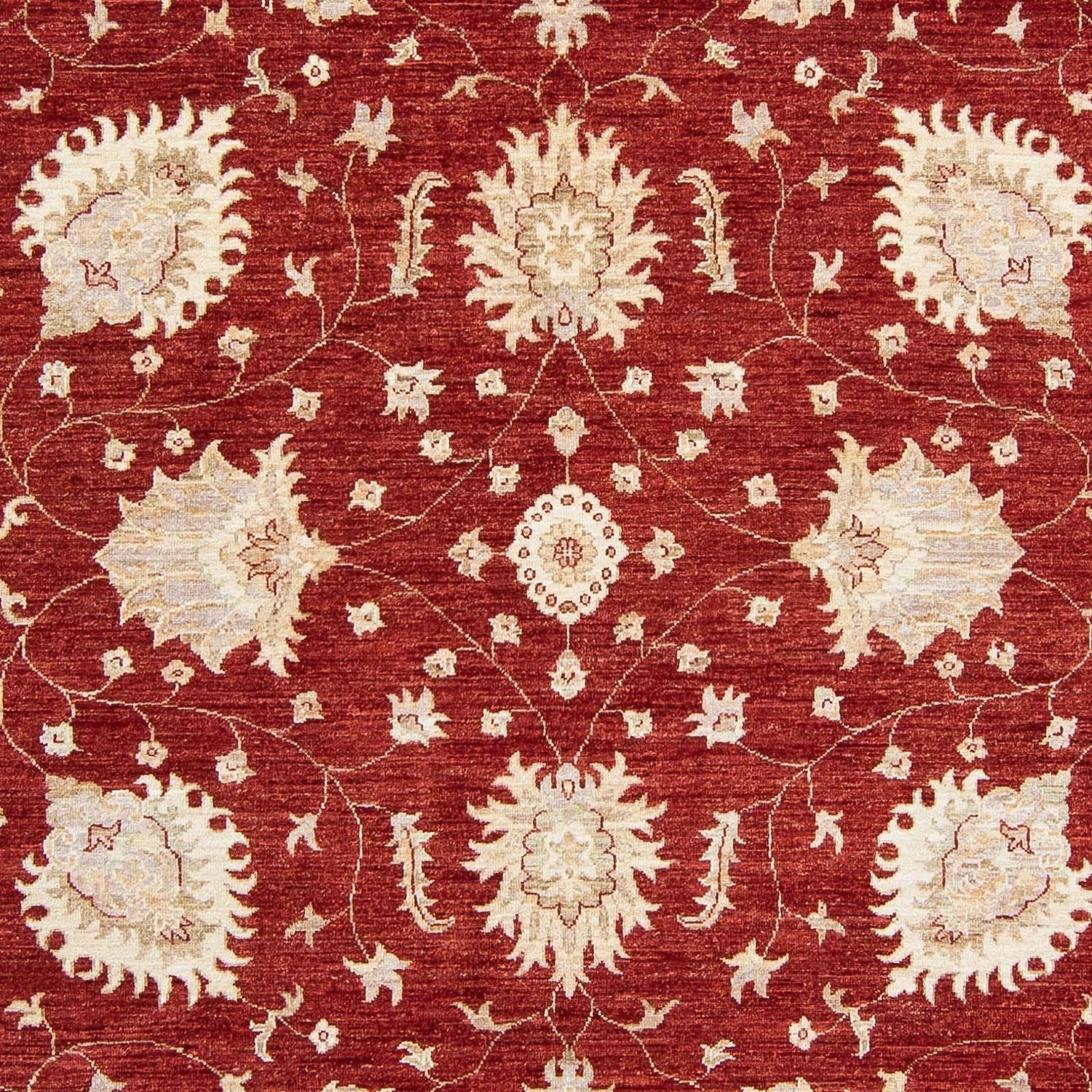 Ziegler Teppich 298 x 240 cm