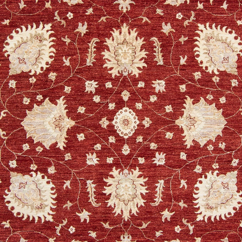 Ziegler Teppich 298 x 240 cm