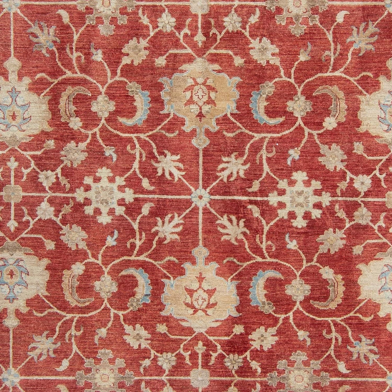 Ziegler Teppich 318 x 244 cm