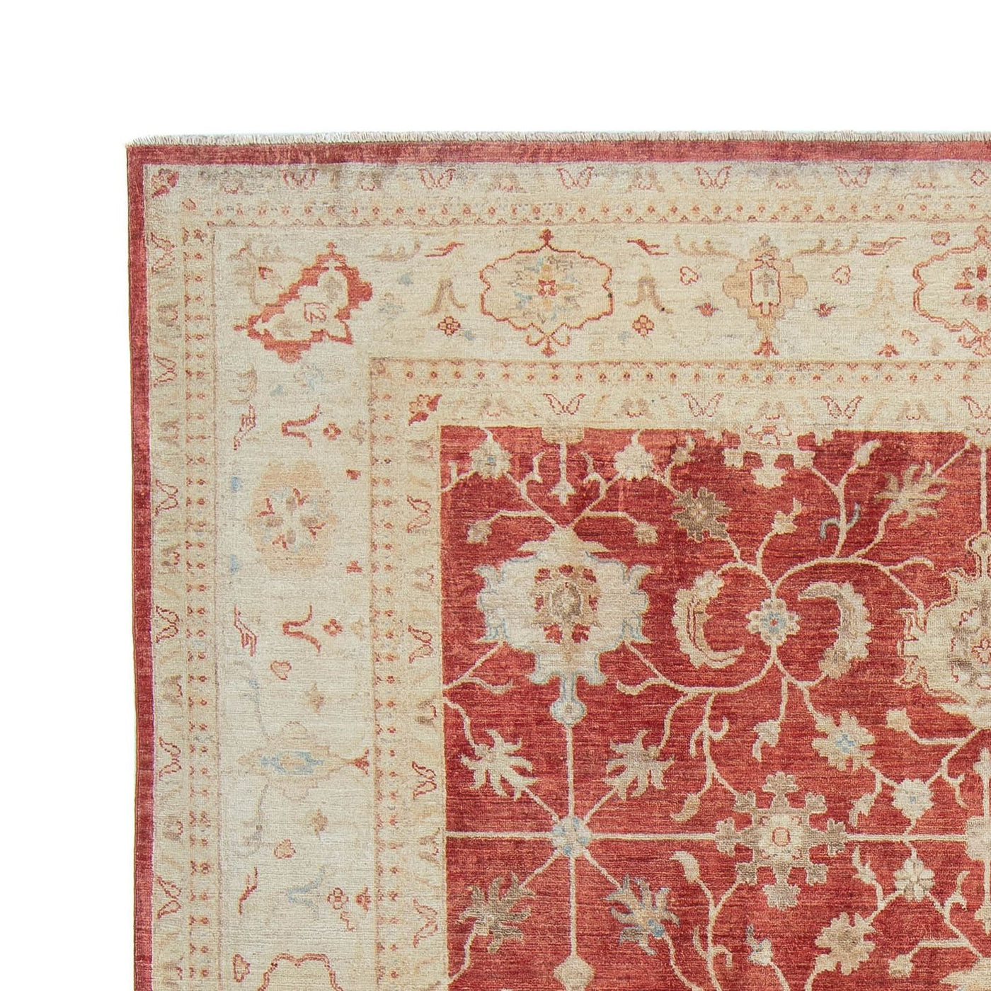 Ziegler Teppich 318x244cm - Orientteppich