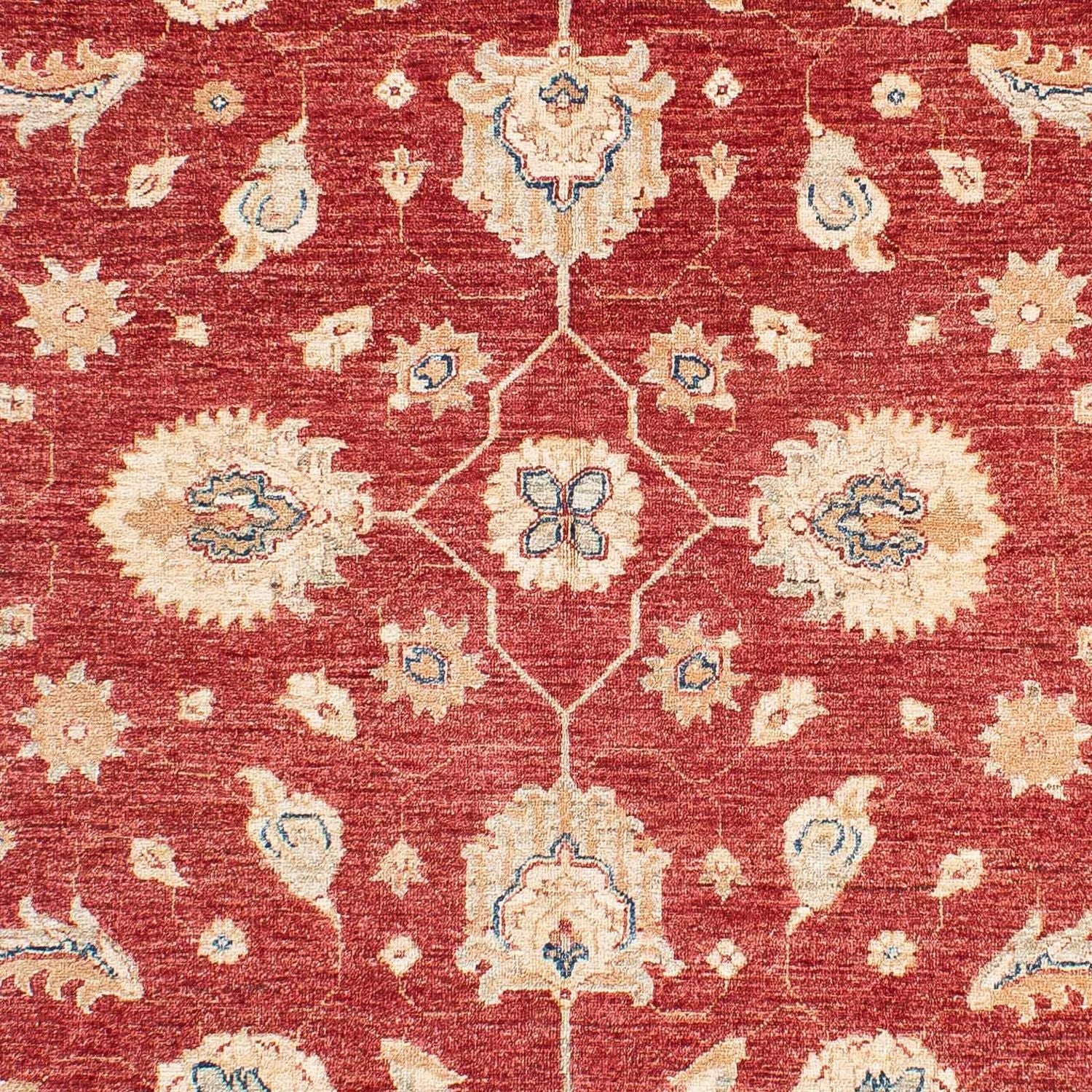 Ziegler Teppich 234 x 167 cm
