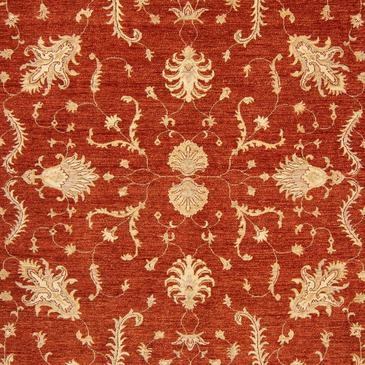 Ziegler Teppich 350 x 254 cm