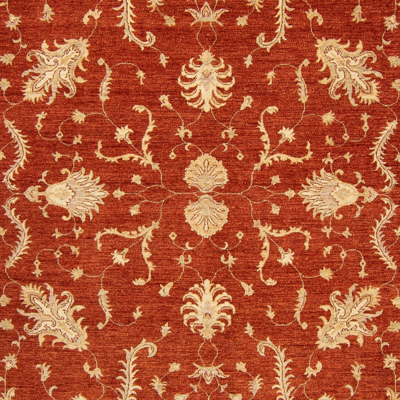Ziegler Teppich 350 x 254 cm