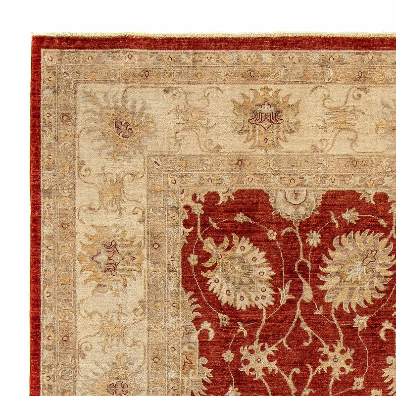 Ziegler Teppich 295 x 249 cm