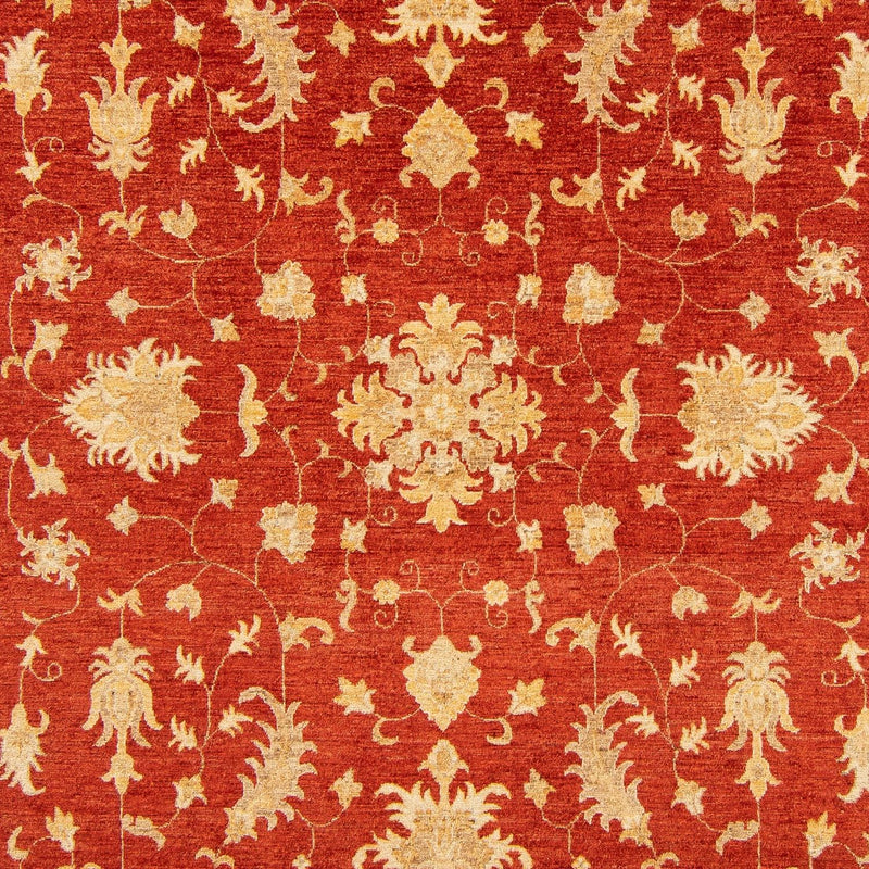 Ziegler Teppich 346 x 243 cm