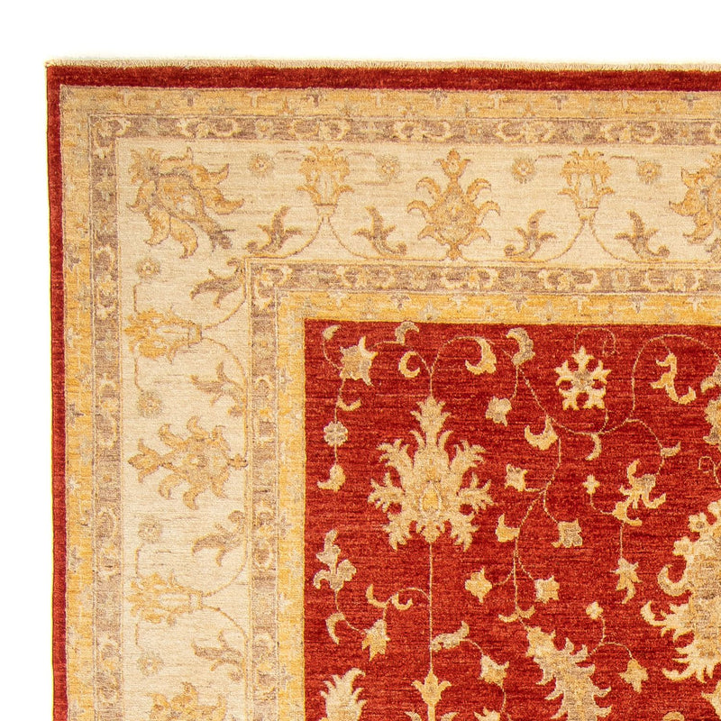 Ziegler Teppich 346 x 243 cm