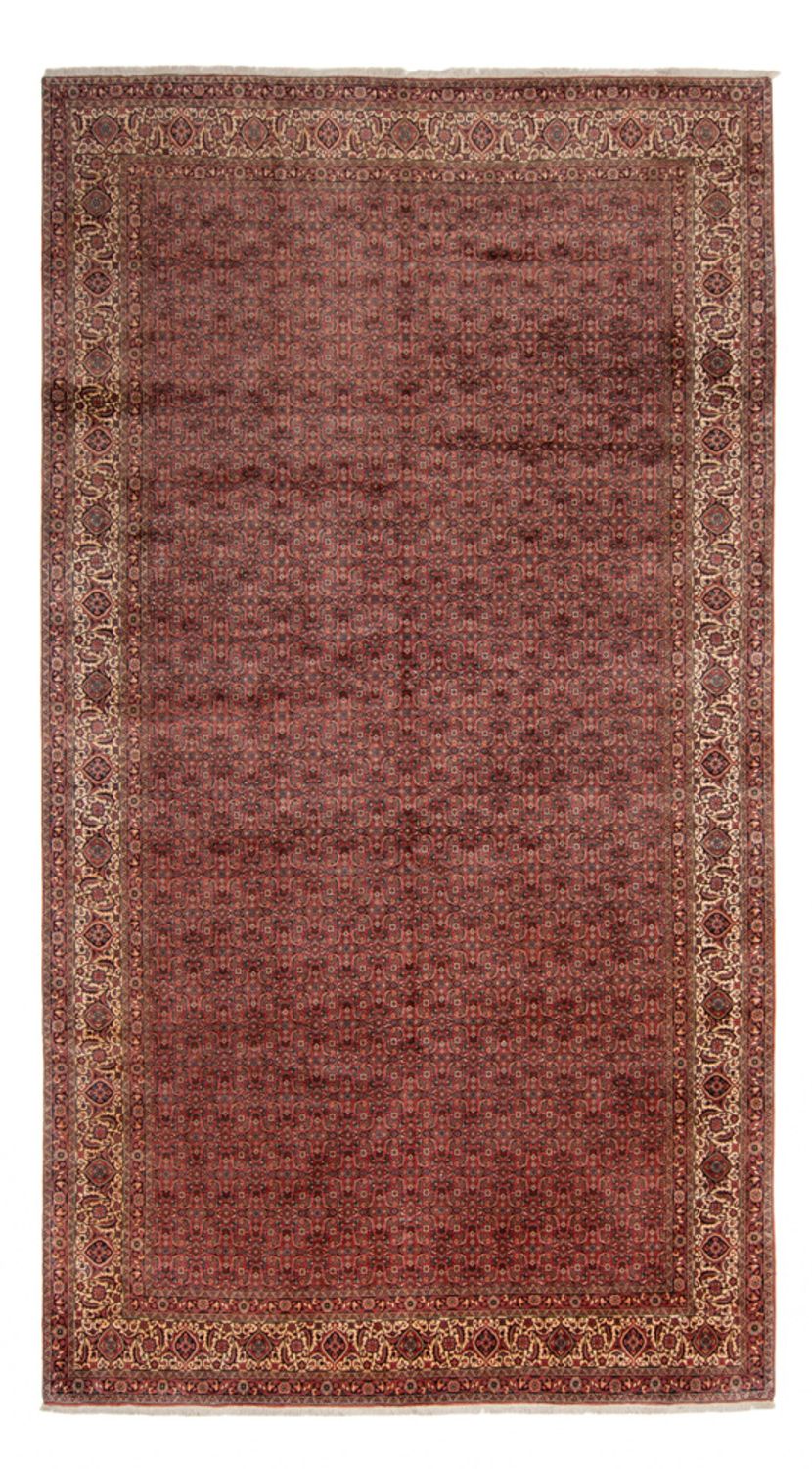 Perserteppich - Bidjar - Royal - 482 x 256 cm - braun