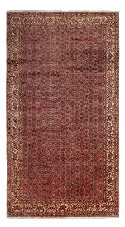 Bidjar - Takab Teppich 256x482cm - Perserteppich - braun