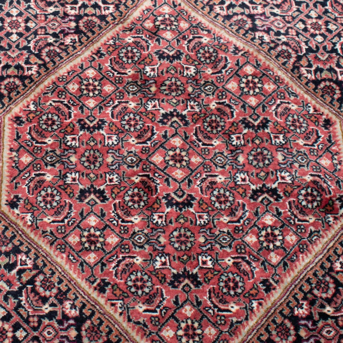 Perserteppich - Bidjar - Royal quadratisch  - 359 x 355 cm - braun
