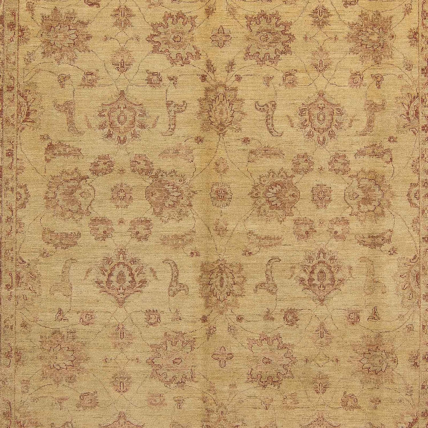Ziegler Teppich 414 x 310 cm