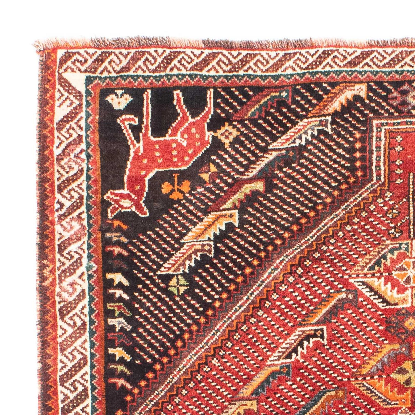 Shiraz Teppich 167x127cm - Perserteppich