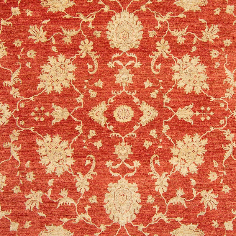 Ziegler Teppich - Kazak 363 x 276 cm