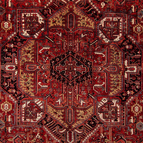 Perserteppich - Nomadic 410 x 306 cm