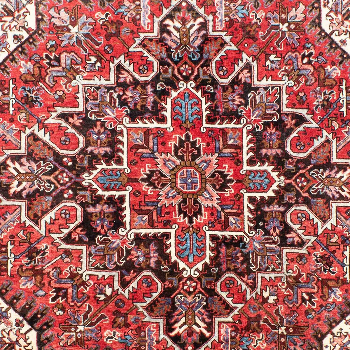 Perserteppich - Nomadic 262 x 206 cm