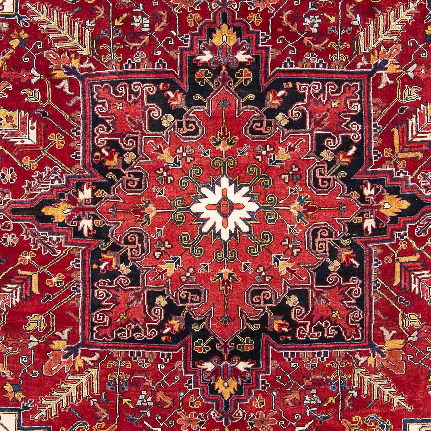 Perserteppich - Nomadic 323 x 230 cm