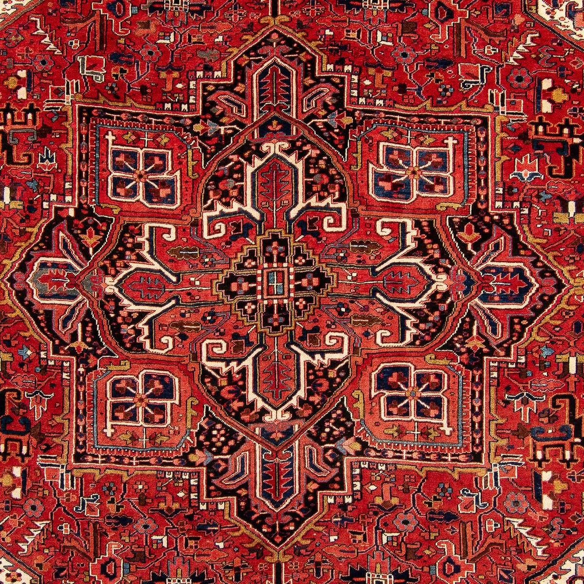 Perserteppich - Nomadic 382 x 286 cm