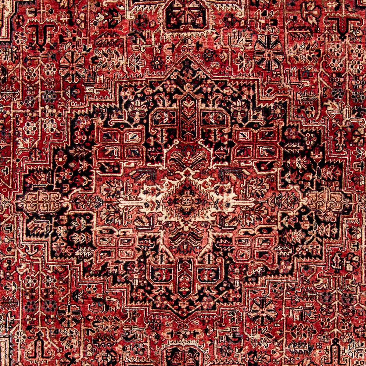 Perserteppich - Nomadic 388 x 298 cm