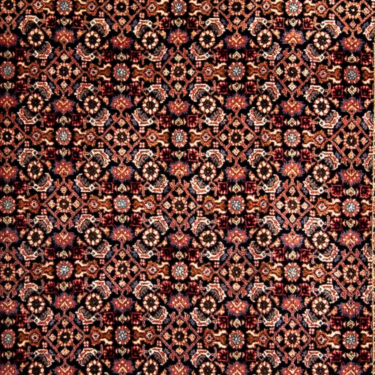 Perserteppich - Bidjar 296 x 94 cm