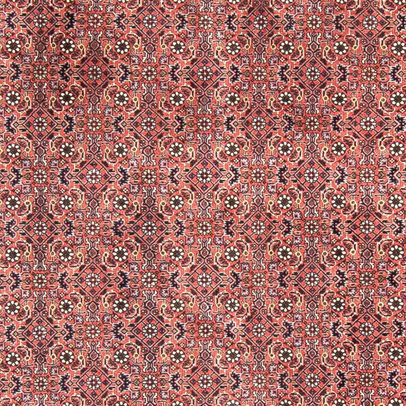 Perserteppich - Bidjar 300 x 300 cm